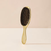 Hair Brush Wild Boar with cleaner tool