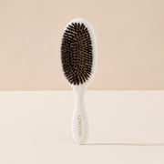 Hair Brush Wild Boar with cleaner tool