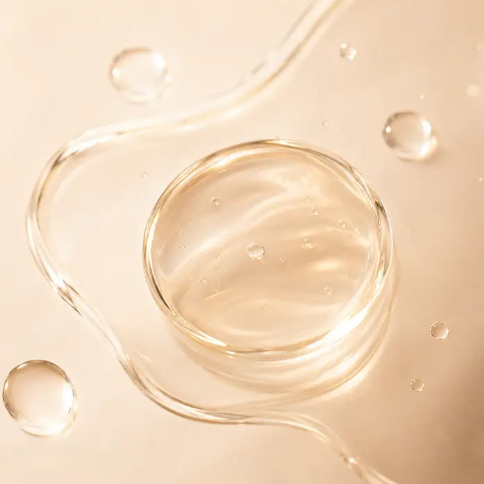 PANAX GINSENG EXTRACT